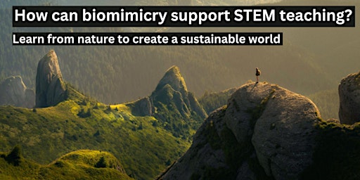STEM, biomimicry and designing a sustainable future
