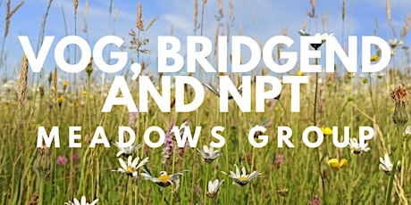 'To Seed or Not to Seed';  Meeting of VOG, Bridgend and NPT Meadows Group