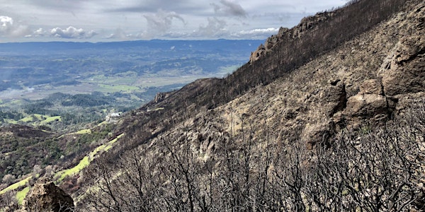 Mount Saint Helena Adopt-A-Crag