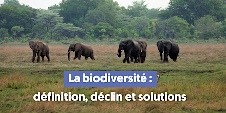 Conférence : la biodiversité, définition, déclin et solutions