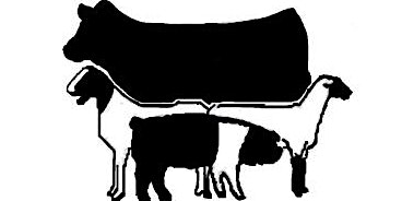2023 FFA/4-H Osceola County Livestock Judging Registration