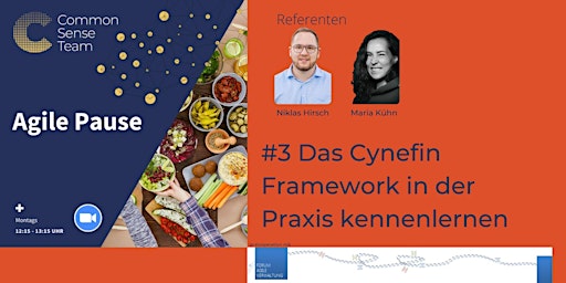 Das Cynefin Framework in der Praxis | Impulse zur Mittagspause #3