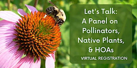 Let's Talk: Pollinators, Native Plants & HOAs (VIRTUAL REGISTRATION)