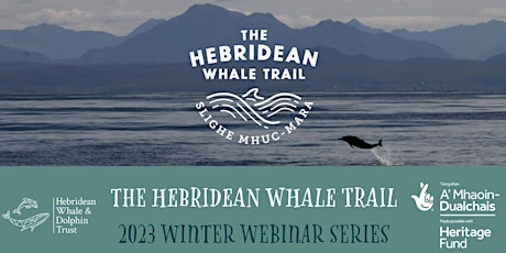ONLINE TALK: Whale calls, vessel noise and the Covid pandemic