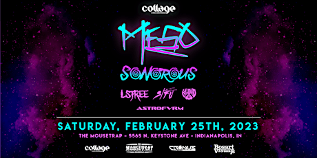 MeSo & Sonorous w/ LSTree, Sifu, Kloud 30 & Astrofvrm at The Mousetrap
