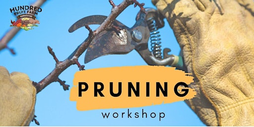 Pruning Workshop