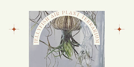 Jellyfish Air Plant Terrarium