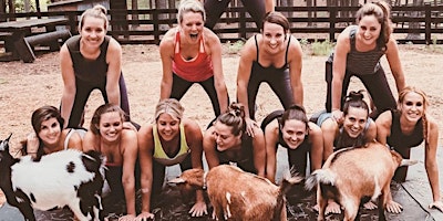 Imagem principal do evento Goats + Yoga + Nature = Pure Joy!