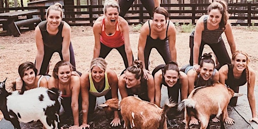 Goats + Yoga + Nature = Pure Joy! primary image