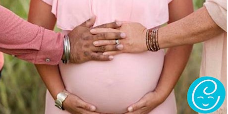 Surrogacy Agencies: Why Size Matters