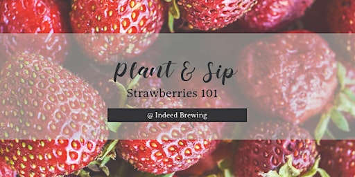 Plant & Sip | Strawberry 101