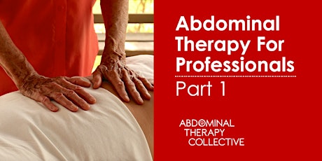 Abdominal Therapy For Professionals: Part One - Twickenham