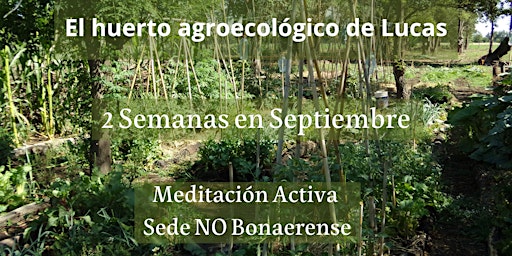 Imagen principal de Meditación Activa (2semanas) sede Noroeste  Bonaerense  Escuela de Huerta