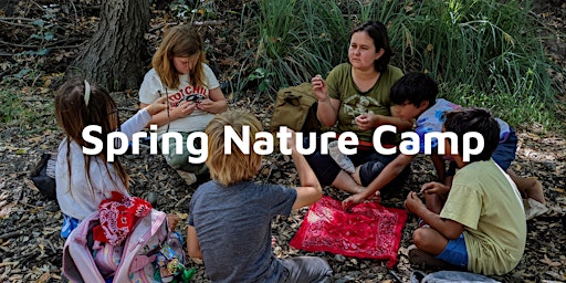 Spring Nature Camp