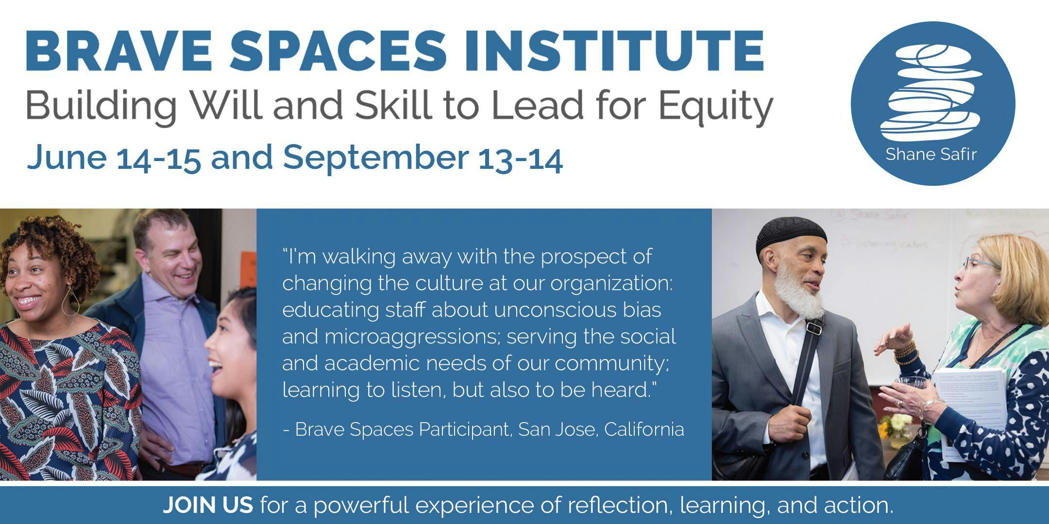 BRAVE SPACES INSTITUTE: Building Will and Skill to Lead for Equity