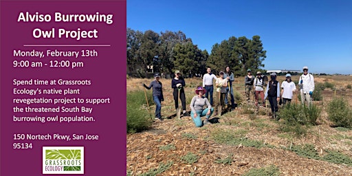 Volunteer Outdoors in Alviso, San Jose at the Burrowing Owl Project (18+)