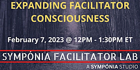 Expanding Facilitator Consciousness