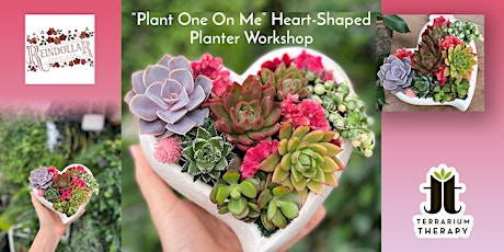 "Plant One On Me" Succulent Workshop: Taneytown Galentine's Night