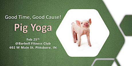 Pig Yoga: Good Cause, Good Time!
