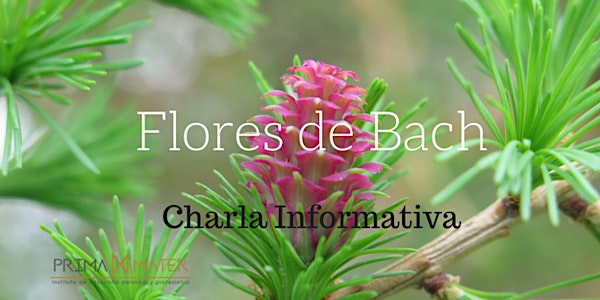 VEN A CONOCER LAS FLORES DE BACH