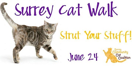 Surrey Cat Walk: Strut Your Stuff! primary image
