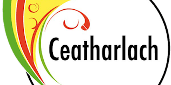 Carlow GAA Introduction to Coaching Gaelic Games-Hurling