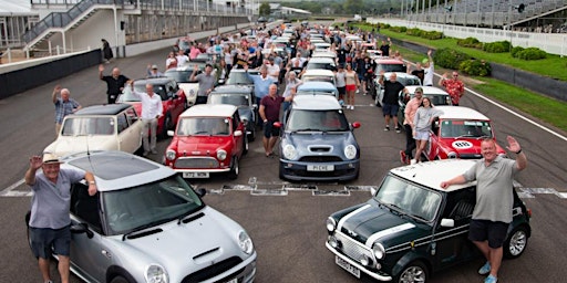 Minis at Goodwood - An Italian Job in a Day - 2023