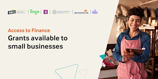 Access to Finance (Ireland) : Grants available to small businesses