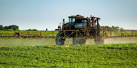 Farmers, Plants, and Poison: Ambivalences over Pesticide Use in Argentina