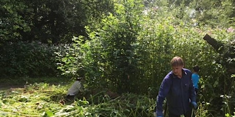 Hauptbild für Rossmill Himalayan Balsam Bash