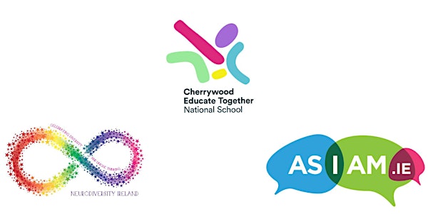 Experience of the Education System - An Autistic Perspective