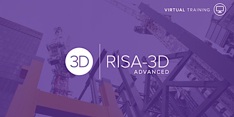 RISA-3D Advanced Topics Course