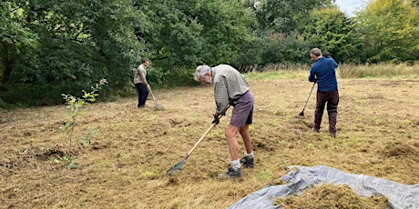 Hauptbild für Meadow Management at Rossmill