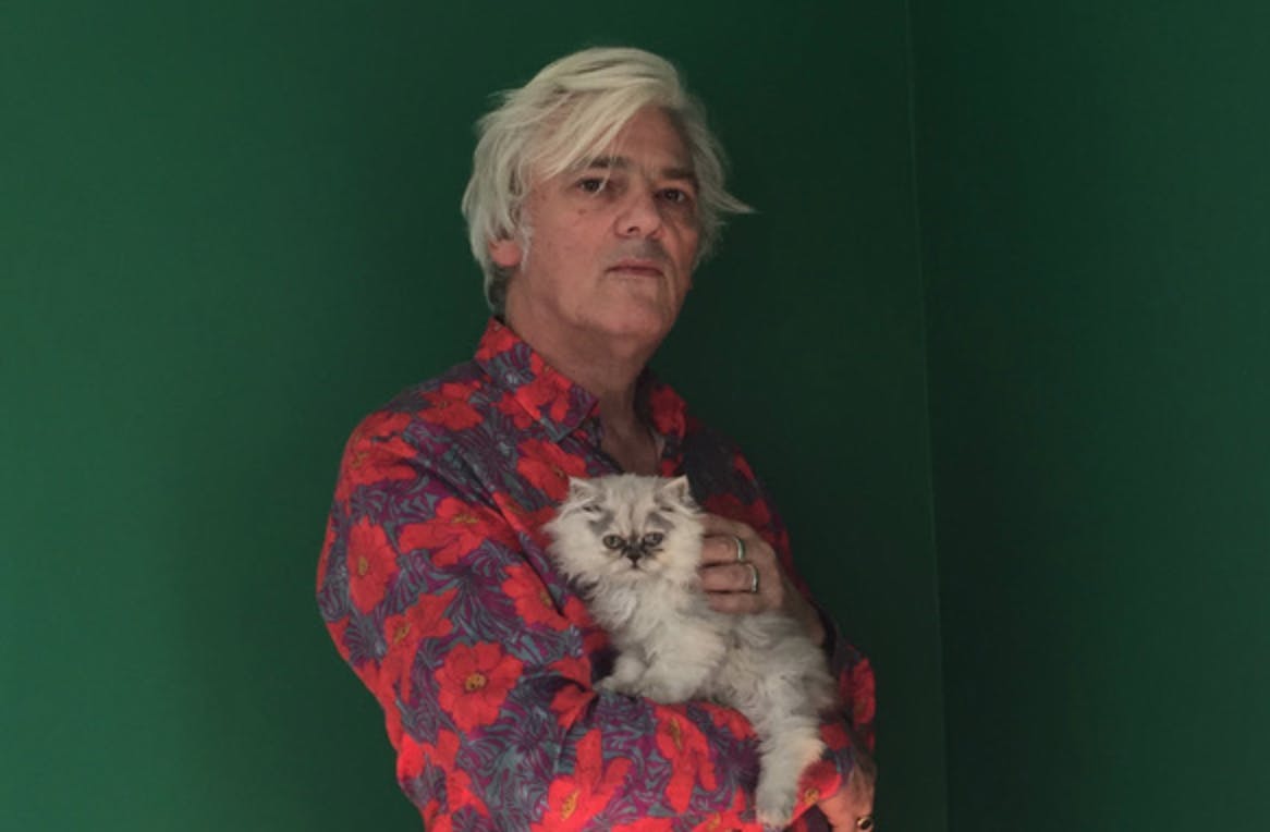 Robyn Hitchcock & The Nashville Fabs