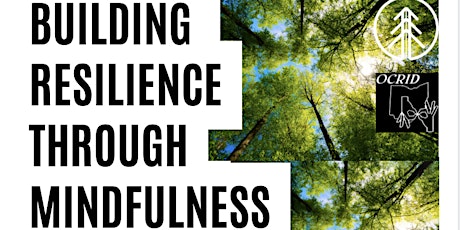 Building Resilience through Mindfulness