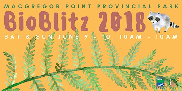 MacGregor Point BioBlitz 2018