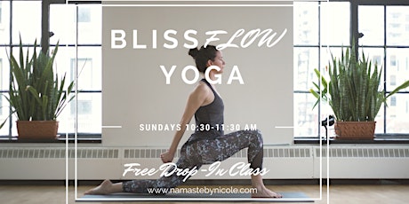 BlissFlow Yoga: All-Levels Class primary image