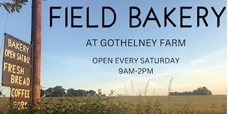 Field Bakery at Gothelney Farm Walk in the Wheats