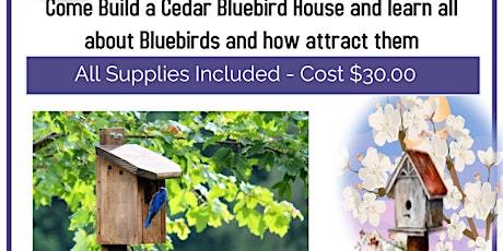 Build a Blue Bird House