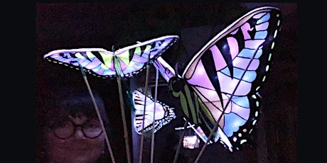 Butterfly Lantern Puppet Workshop!