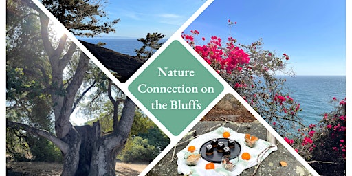 Nature Connection Walk on the Bluffs