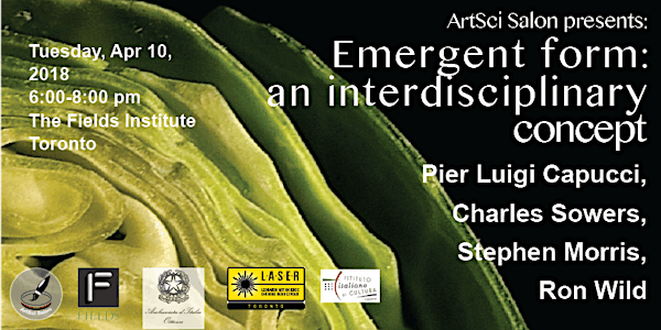 Emergent Form in art and science - an interdisciplinary concept