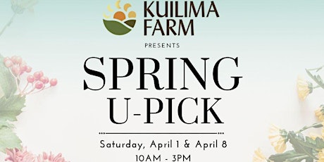Spring is in the air at Kuilima Farm!