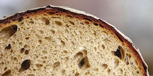 Almost No-Knead Sourdough Bread