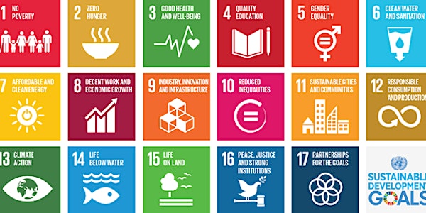 Africa and Sustainable Development Agendas
