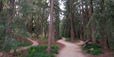 Immagine principale di UC Davis Redwood SEED Scholars Info Session 