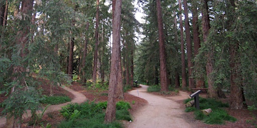 Immagine principale di UC Davis Redwood SEED Scholars Info Session 