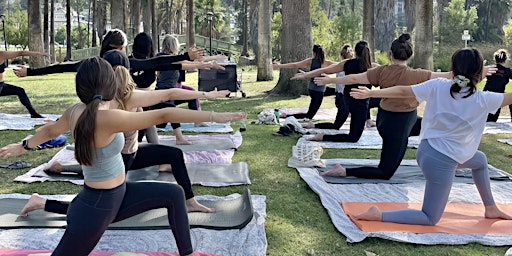 Yoga at Echo Park