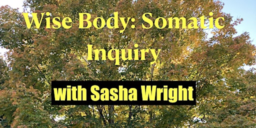 Wise Body: Somatic Inquiry
