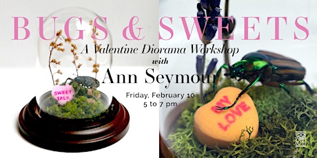 Bugs & Sweets: A Valentine Diorama Workshop